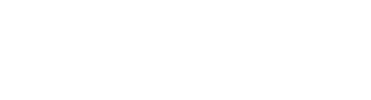 TEAM Professional Services