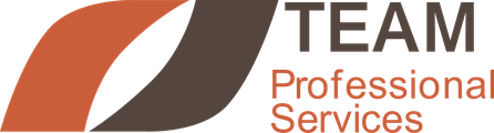 TEAM Professional Services